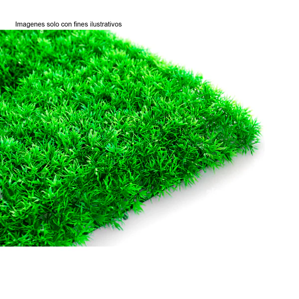 ALFOMBRA CESPE 40*60CM - Image 3