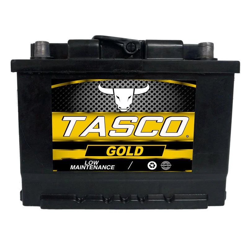BATERIA PLASTICA 55F-P TASCO